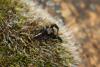 277477 – Photo : Vincent Derreumaux – France (04)